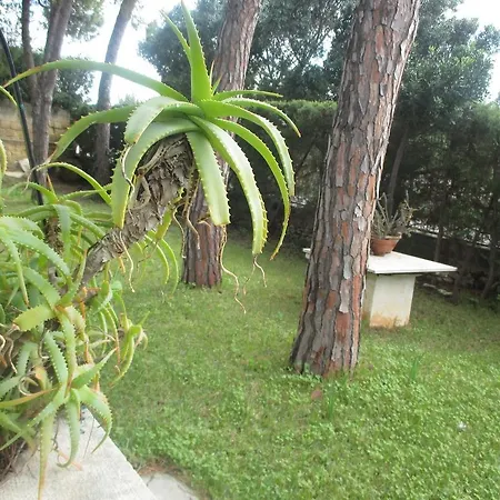 Holiday home Orizzonte Mare *
